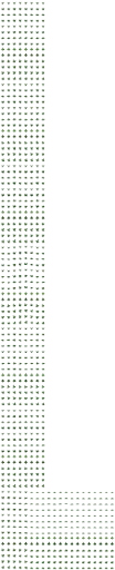 Winged green dragon
